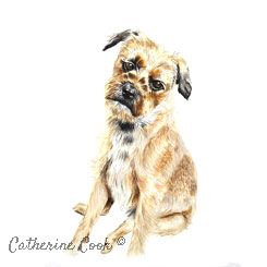 watercolour dog portrait