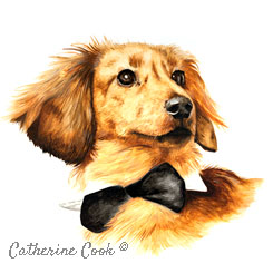 watercolour ink dog portrait