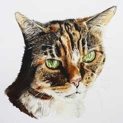watercolour cat portrait